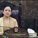 Profil Lengkap dan Kiprah Politik Puan Maharani