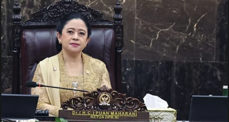 Profil Lengkap dan Kiprah Politik Puan Maharani