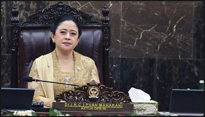 Profil Lengkap dan Kiprah Politik Puan Maharani