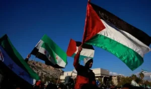 Proposal Perdamaian Gaza: Harapan Baru di Tengah Bara Konflik
