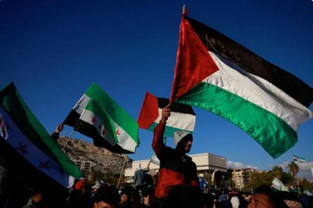 Proposal Perdamaian Gaza: Harapan Baru di Tengah Bara Konflik