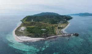 Konservasi Indonesia 2026 yang Dipuji Dunia, Dari Hutan Tropis hingga Laut Nusantara