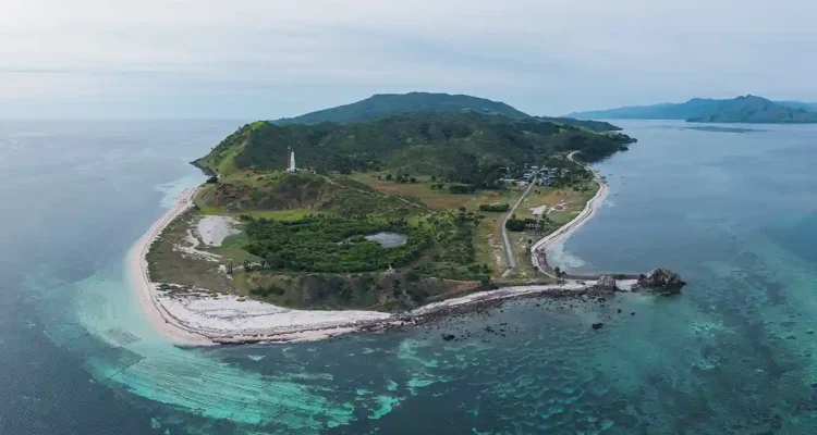 Konservasi Indonesia 2026 yang Dipuji Dunia, Dari Hutan Tropis hingga Laut Nusantara